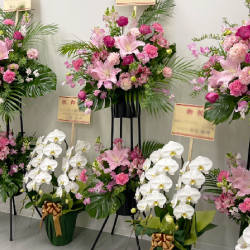 お祝い花・楽屋花